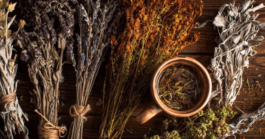 purificación espiritual el poder de las plantas esotéricas (2)