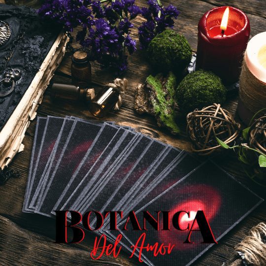 los mejores amarres de amor back of the yards il botanica del amor