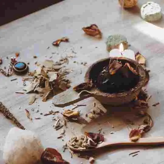 amarres de amor branson mo botanica del amor.webp