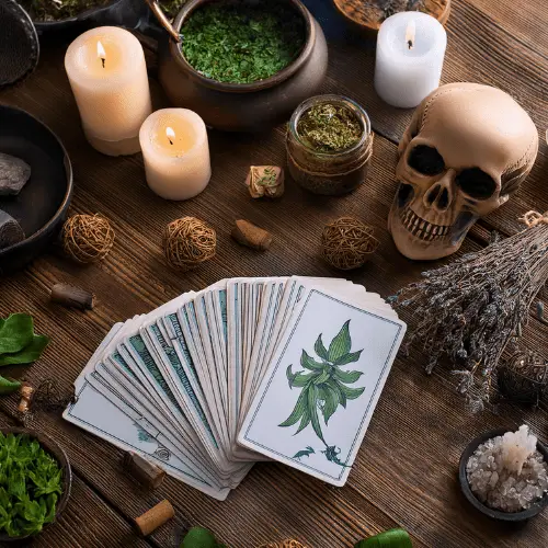 amarres de amor east side chicago il botanica del amor.webp