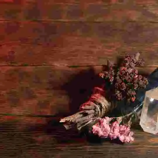 amarres de amor gary in botanica del amor.webp