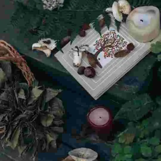 amarres de amor grant mi botanica del amor.webp